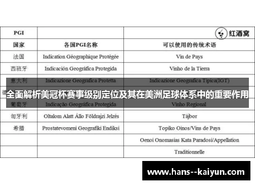 全面解析美冠杯赛事级别定位及其在美洲足球体系中的重要作用