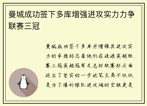 曼城成功签下多库增强进攻实力力争联赛三冠